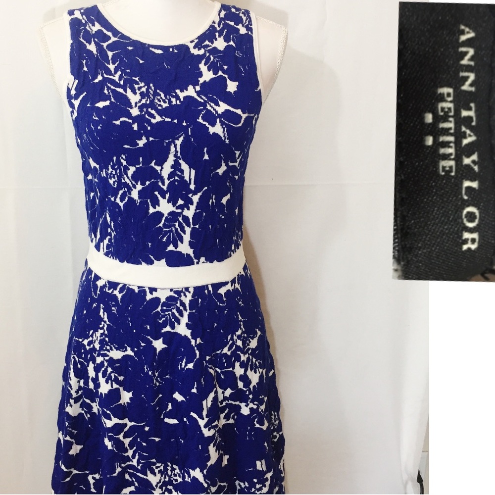 Ann Taylor petites dress🌊